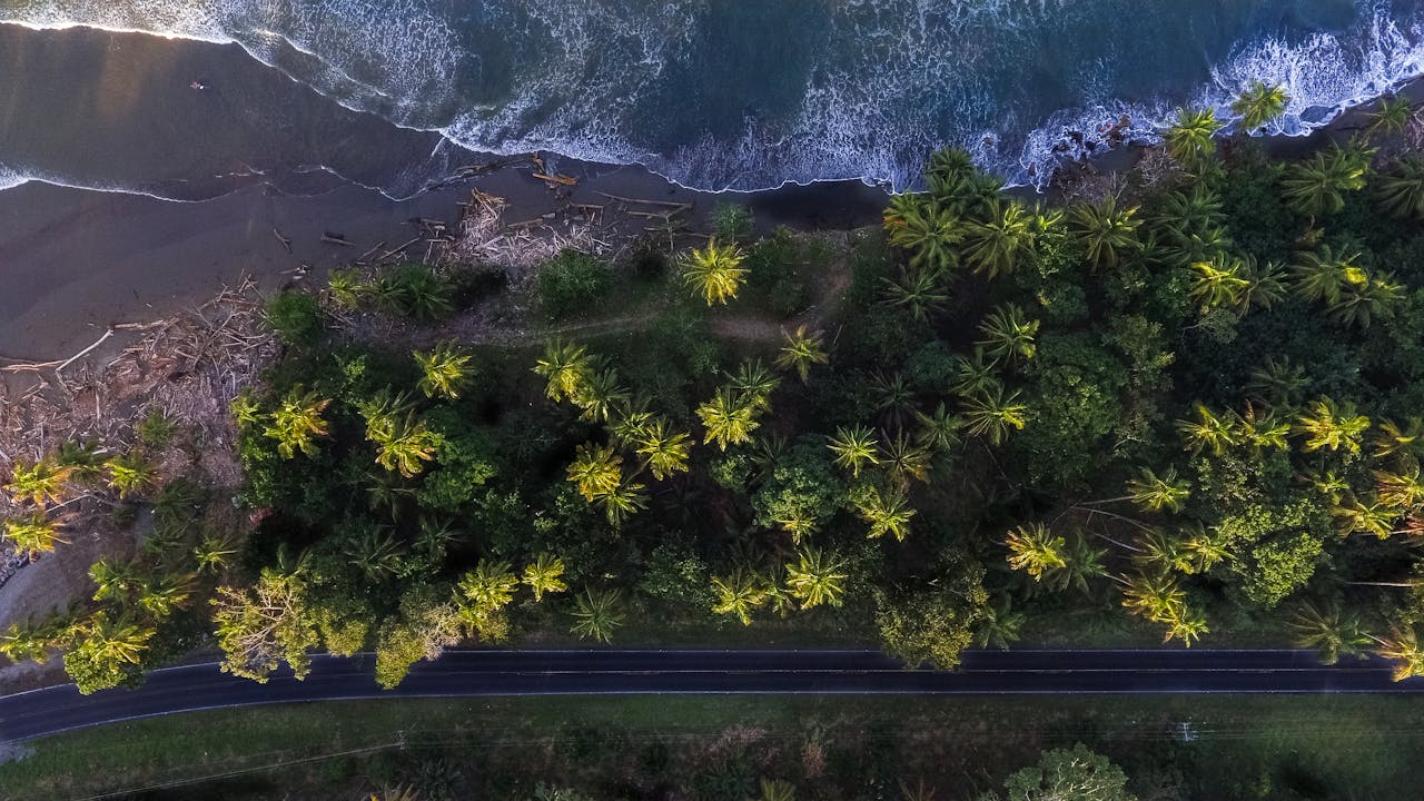 Aerial view of tropical coastline with palm forest, black sand beach and ocean