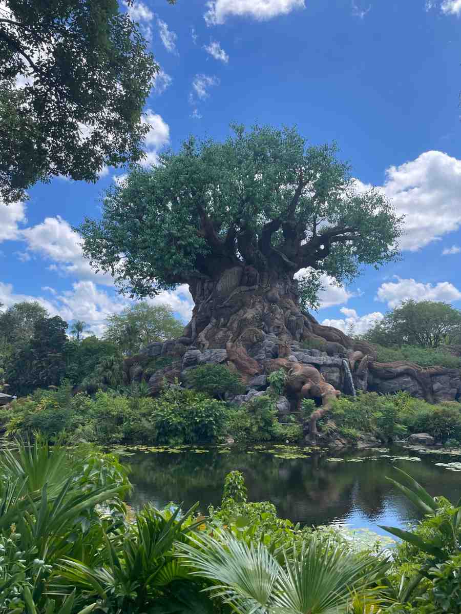 Tree of Life attraction surrounded by lush greenery and reflective water